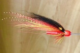 RS Red Autumn Cascade Special ( Pro choice )